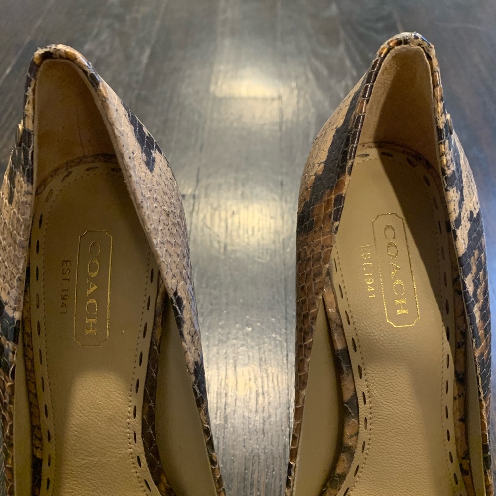 Coach Real Snake Skin Pumps - Picture 3 of 4